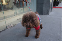 ������С��