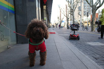 ˩�ڵ��ſڵĹ�