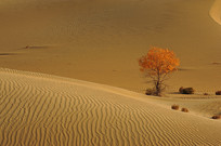 һ�Ž�ɫ����