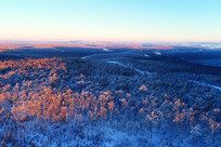 ���˰���ĺɫ�еı�ѩɭ��