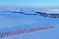 �������ɹ�ѩ��ũ�������