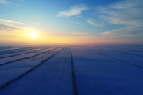 ���ױ�������ũ��ĺɫ��ã