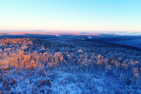 �ֺ�ѩԭ������ڡĺɫ