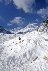 �Ĵ����κ��ݹ�����ѩ�� 