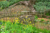 �����԰-����ʲ˵� 