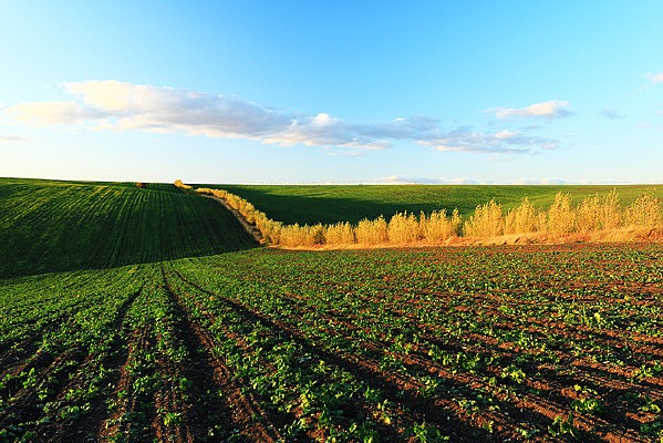 ���ױ���ũ������ط�������ɫ 
