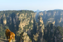 ������ҽ���ּ�Ұ��⨺� 