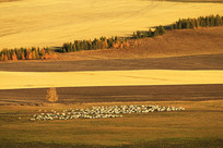 �������������Ⱥ�羰