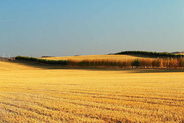 ������Ұ