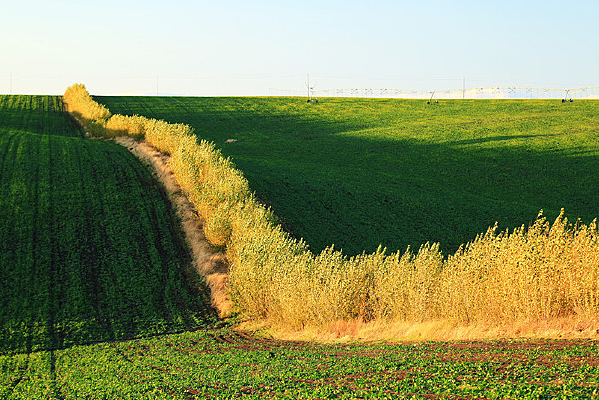 ������Ұũ�������