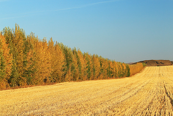 ������Ұũ�������