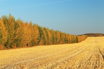 ������Ұũ�������