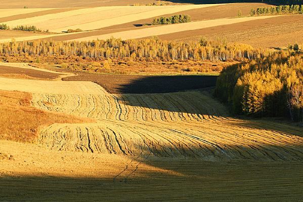 ����������Ұ����