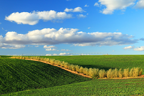 ����ũ���������ɫ