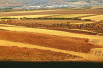 ũ���������ɫ 