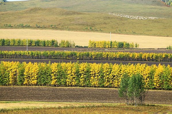 �＾ũ�������