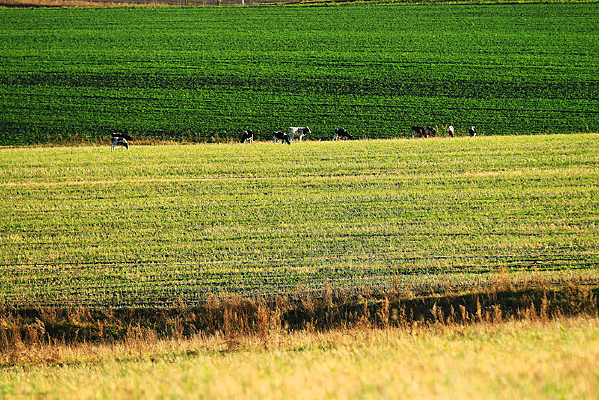 �＾��Ұũ��ţȺ