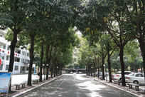 �»Ὺ�Ŵ�ѧУ԰