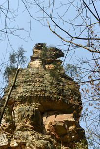 ������ҽ�·�𼦱��� 