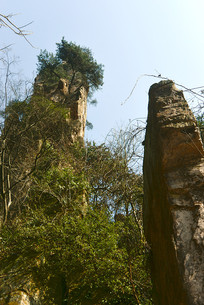 ������ҽ�𼦱����·�  