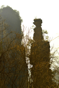 �����żҽ�-�𼦱��� 