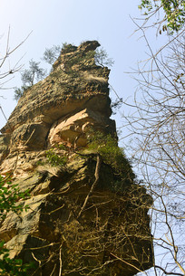 �����żҽ�-�𼦱����·�  