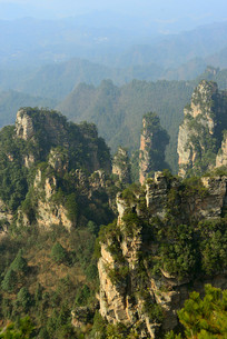 �����żҽ�ʯӢɰ�ҷ��ָ���  