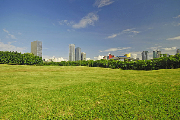 ����������CBD-������������