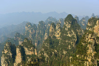 ��ҽ��첨����ǽ