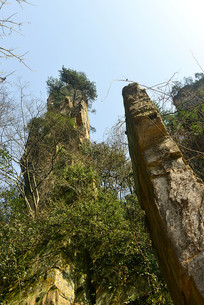 �żҽ�·�-�𼦱��� 