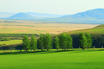 ���ױ����������