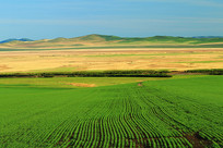 ���ױ�������ũ��羰