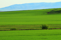 ���ױ���������԰���