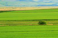 ���ױ���ũ����Ұ�羰