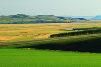 ���ױ���ũҵ������� 