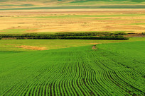 ���ױ�����԰���