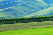 ������԰���