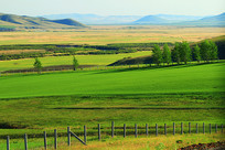 ũ����Ұ�羰