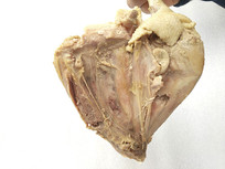 ����Ѽ��