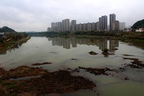 �ŷ����ҽ��Ӷ�����ҵסլ