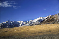 ѩ��������ԭ