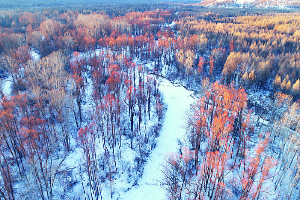 ���������������ѩ��