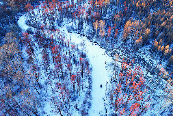 ���˰��붬�����Ӻ����ֺ���