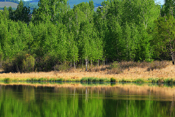 ���˰������ 