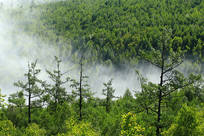 ���˰�����ɫ���ֳ���