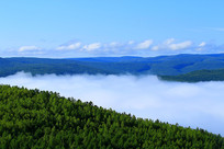 ���˰���ï���ֺ�����