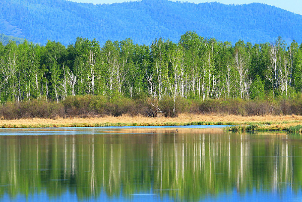 ���˰���ɭ�ֺ�ɽˮ���