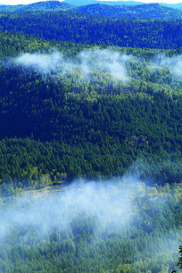 ���˰���ɽ���ƺ�