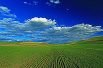 ���ױ���ũ������