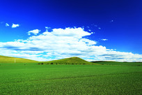 ���ױ���ũҵ��԰���